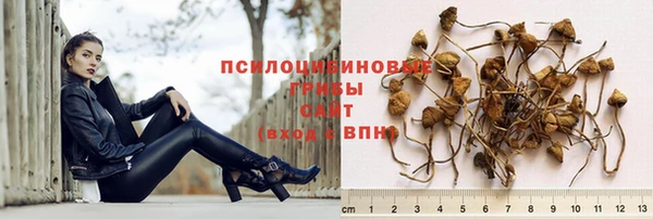 крисы Болхов
