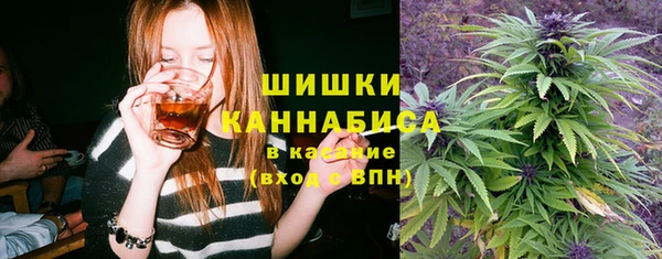 дмт Алзамай